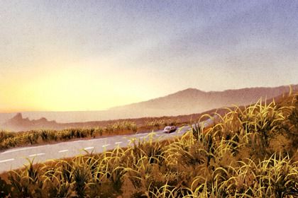 2025年农历二月十八提车日子如何 宜提车吉日查询