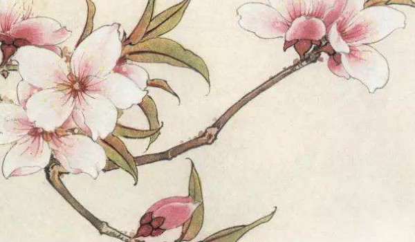 安门选吉日:生肖猴2024年农历五月临门最好的日子推荐