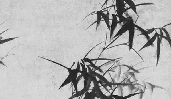 bazi (179) bazi (179)