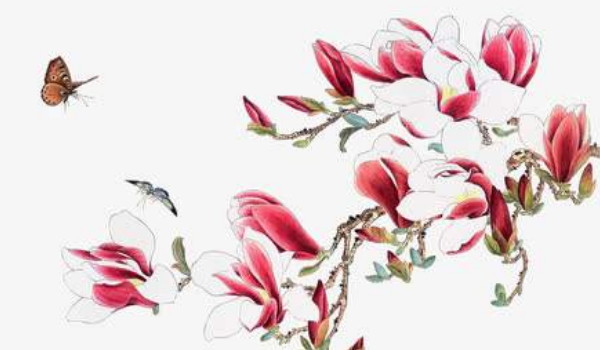 2022-01-06_151154 2022-01-06_151154