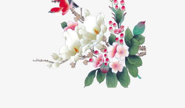 2022-01-06_095235 2022-01-06_095235