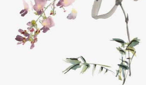 2022-01-06_095119 2022-01-06_095119