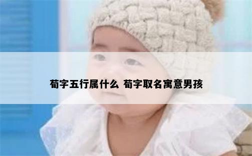 荀字五行属什么 荀字取名寓意男孩