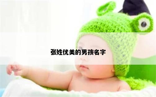 张姓优美的男孩名字