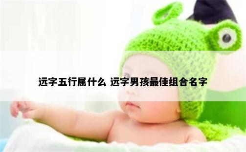 远字五行属什么 远字男孩最佳组合名字