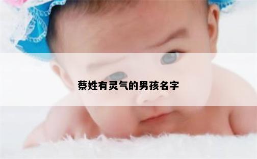 蔡姓有灵气的男孩名字