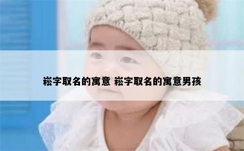 崧字取名的寓意 崧字取名的寓意男孩