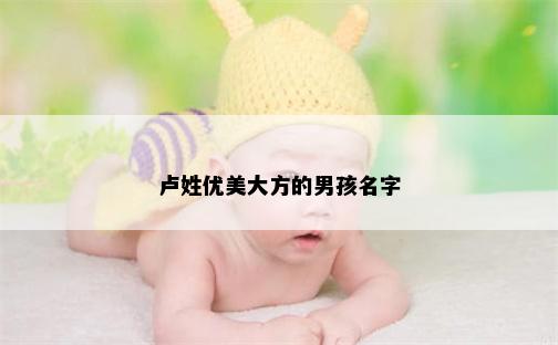 卢姓优美大方的男孩名字