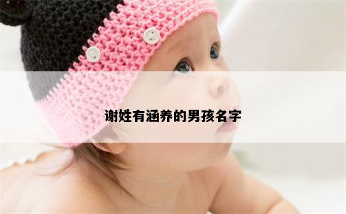 谢姓有涵养的男孩名字