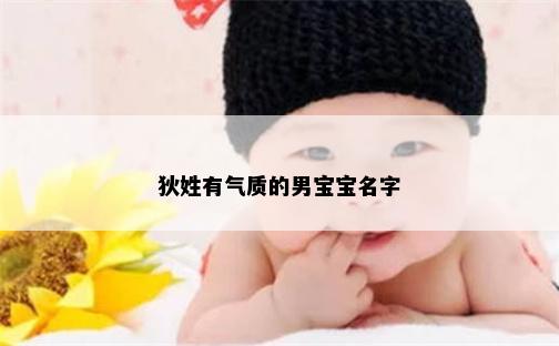 狄姓有气质的男宝宝名字