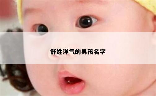 舒姓洋气的男孩名字