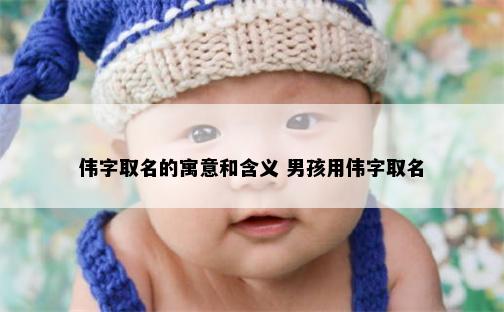 伟字取名的寓意和含义 男孩用伟字取名