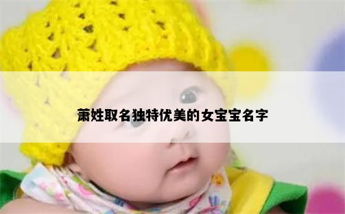 萧姓取名独特优美的女宝宝名字