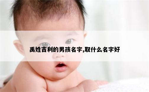 禹姓吉利的男孩名字,取什么名字好